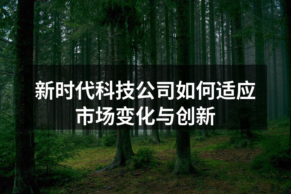 新时代科技公司如何适应市场变化与创新